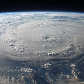 Hurricane Impact on Wildlife